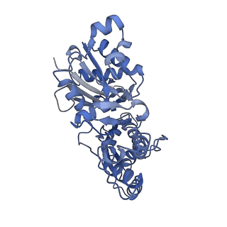 27117_8d16_G_v1-3
Bent ADP-Pi-F-actin