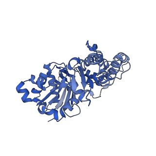 27118_8d17_A_v1-3
Straight ADP-F-actin 1