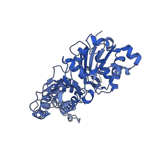 27118_8d17_B_v1-3
Straight ADP-F-actin 1