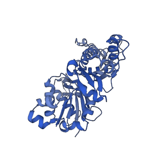 27118_8d17_C_v1-3
Straight ADP-F-actin 1