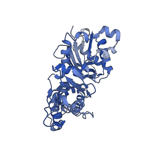 27118_8d17_D_v1-3
Straight ADP-F-actin 1