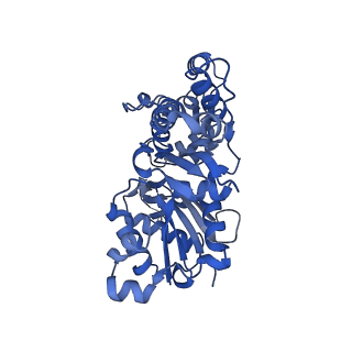 27118_8d17_E_v1-3
Straight ADP-F-actin 1