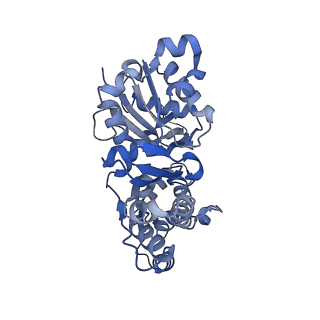 27118_8d17_F_v1-3
Straight ADP-F-actin 1