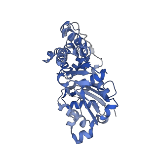27118_8d17_G_v1-3
Straight ADP-F-actin 1