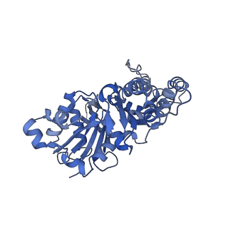 27119_8d18_A_v1-3
Straight ADP-F-actin 2