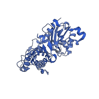 27119_8d18_B_v1-3
Straight ADP-F-actin 2