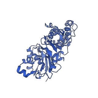 27119_8d18_C_v1-3
Straight ADP-F-actin 2