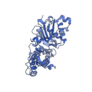 27119_8d18_D_v1-3
Straight ADP-F-actin 2