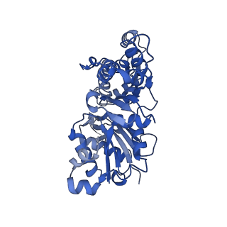 27119_8d18_E_v1-3
Straight ADP-F-actin 2