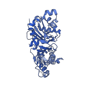 27119_8d18_F_v1-3
Straight ADP-F-actin 2