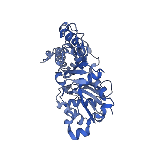27119_8d18_G_v1-3
Straight ADP-F-actin 2