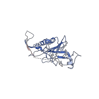 27121_8d1b_A_v1-1
CryoEM structure of human orphan GPCR GPR179 in complex with extracellular matrix protein pikachurin