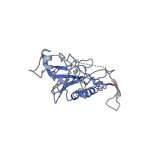 27121_8d1b_B_v1-1
CryoEM structure of human orphan GPCR GPR179 in complex with extracellular matrix protein pikachurin