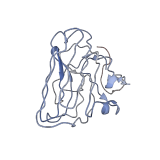 27121_8d1b_C_v1-1
CryoEM structure of human orphan GPCR GPR179 in complex with extracellular matrix protein pikachurin