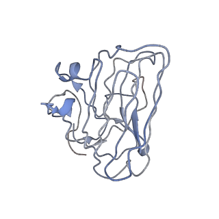 27121_8d1b_D_v1-1
CryoEM structure of human orphan GPCR GPR179 in complex with extracellular matrix protein pikachurin