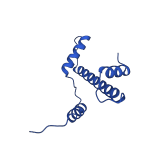 30551_7d1z_A_v1-1
Cryo-EM structure of SET8-nucleosome complex
