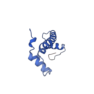 30551_7d1z_B_v1-2
Cryo-EM structure of SET8-nucleosome complex