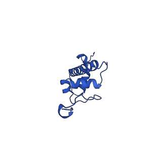 30551_7d1z_C_v1-1
Cryo-EM structure of SET8-nucleosome complex