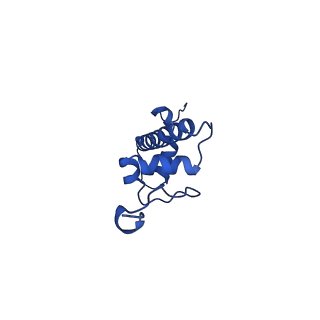 30551_7d1z_C_v1-2
Cryo-EM structure of SET8-nucleosome complex