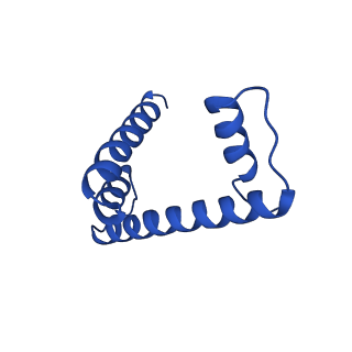 30551_7d1z_D_v1-2
Cryo-EM structure of SET8-nucleosome complex