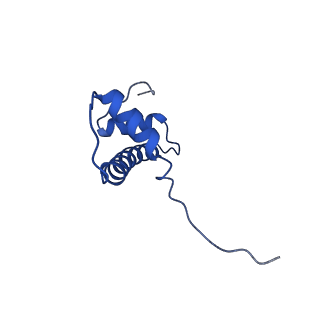 30551_7d1z_F_v1-1
Cryo-EM structure of SET8-nucleosome complex