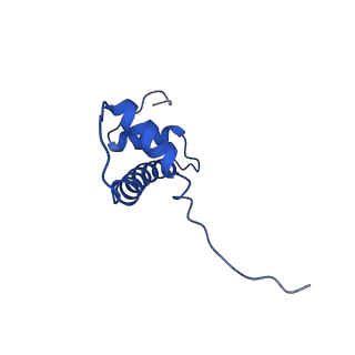 30551_7d1z_F_v1-2
Cryo-EM structure of SET8-nucleosome complex