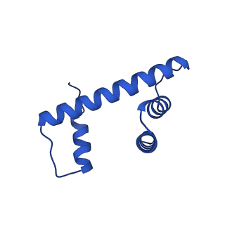 30551_7d1z_H_v1-2
Cryo-EM structure of SET8-nucleosome complex