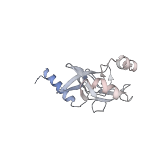 30551_7d1z_K_v1-1
Cryo-EM structure of SET8-nucleosome complex