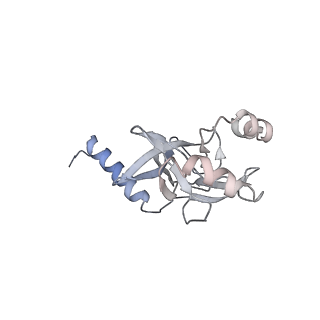 30551_7d1z_K_v1-2
Cryo-EM structure of SET8-nucleosome complex