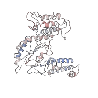3331_7d1a_C_v1-1
cryo-EM structure of a group II intron RNP complexed with its reverse transcriptase