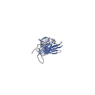 27139_8d21_I_v1-1
Cryo-EM structure of the VRC321 clinical trial, vaccine-elicited, human antibody 1B06 in complex with a stabilized NC99 HA trimer
