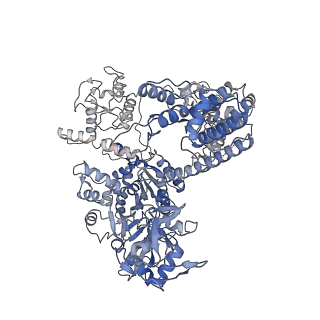 27143_8d2n_A_v1-0
Structure of Acidothermus cellulolyticus Cas9 ternary complex (Pre-cleavage)