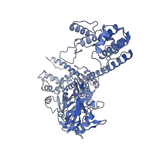 27144_8d2o_A_v1-0
Structure of Acidothermus cellulolyticus Cas9 ternary complex (Post-cleavage 2)