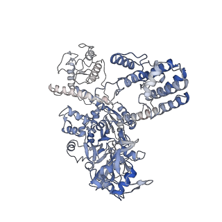 27146_8d2q_A_v1-0
Structure of Acidothermus cellulolyticus Cas9 ternary complex (Post-cleavage 1)