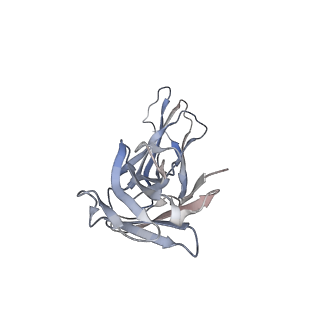27148_8d2s_C_v1-1
Zebrafish MFSD2A isoform B in inward open ligand bound conformation