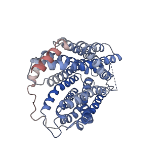 27149_8d2t_A_v1-1
Zebrafish MFSD2A isoform B in inward open ligand-free conformation