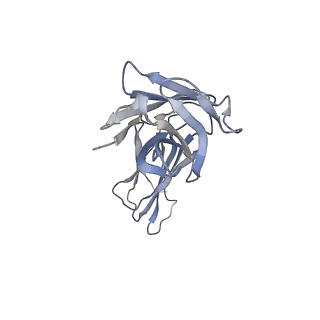 27149_8d2t_C_v1-1
Zebrafish MFSD2A isoform B in inward open ligand-free conformation