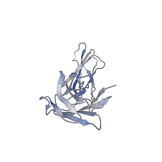 27150_8d2u_C_v1-1
Zebrafish MFSD2A isoform B in inward open ligand 1A conformation