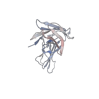 27151_8d2v_C_v1-1
Zebrafish MFSD2A isoform B in inward open ligand 1B conformation