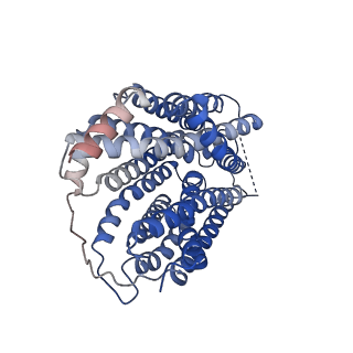 27152_8d2w_A_v1-1
Zebrafish MFSD2A isoform B in inward open ligand 2B conformation