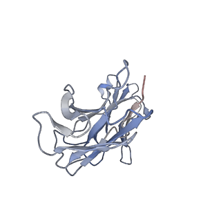 27152_8d2w_B_v1-1
Zebrafish MFSD2A isoform B in inward open ligand 2B conformation