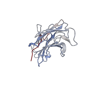 27153_8d2x_B_v1-1
Zebrafish MFSD2A isoform B in inward open ligand 3C conformation