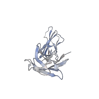 27153_8d2x_C_v1-1
Zebrafish MFSD2A isoform B in inward open ligand 3C conformation