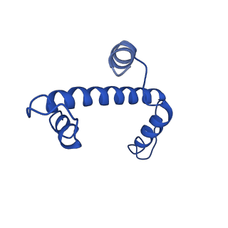 30552_7d20_A_v1-1
Cryo-EM structure of SET8-CENP-A-nucleosome complex