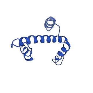 30552_7d20_A_v1-2
Cryo-EM structure of SET8-CENP-A-nucleosome complex