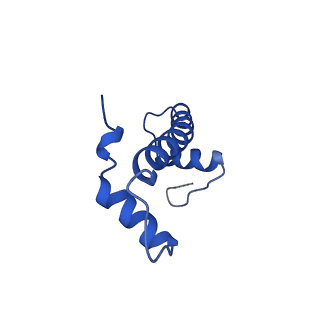 30552_7d20_B_v1-1
Cryo-EM structure of SET8-CENP-A-nucleosome complex