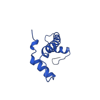 30552_7d20_B_v1-2
Cryo-EM structure of SET8-CENP-A-nucleosome complex