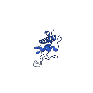 30552_7d20_C_v1-1
Cryo-EM structure of SET8-CENP-A-nucleosome complex