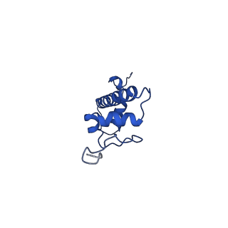 30552_7d20_C_v1-2
Cryo-EM structure of SET8-CENP-A-nucleosome complex