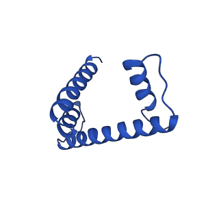 30552_7d20_D_v1-2
Cryo-EM structure of SET8-CENP-A-nucleosome complex